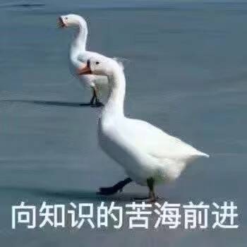 向知识的苦海前进