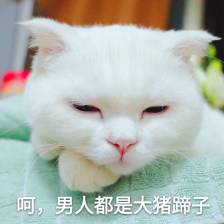 呵呵，男人都是大猪蹄子