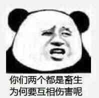 你们两个都是畜生，为何要互相伤害呢