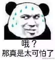 哦？那真是太可怕了