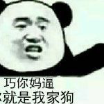 巧你妈逼就是我家狗