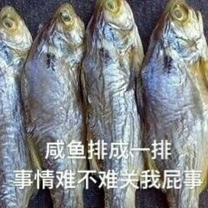 咸鱼排成一排，事情难不难关我屁事