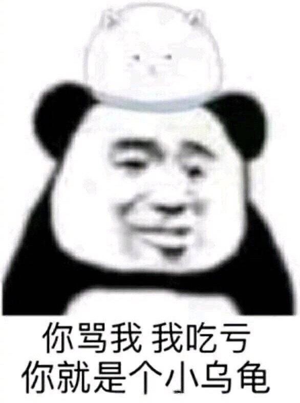 你骂我我吃亏，你就是个小乌龟