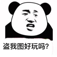 盗我图好玩吗？