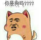 你是狗吗？？