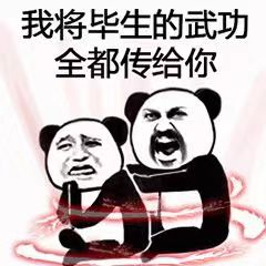 我将毕生的武功全都传给你