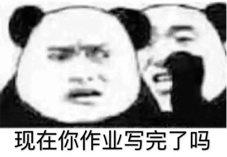 现在你作业写完了吗