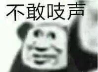 不敢吱