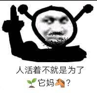 人活着不就是为了它妈？