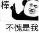 棒，不愧是我