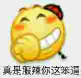 真是服辣你这笨逼