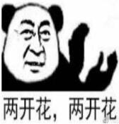 两开花，两开花