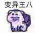 变异王八