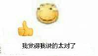 我觉得我说的太对了