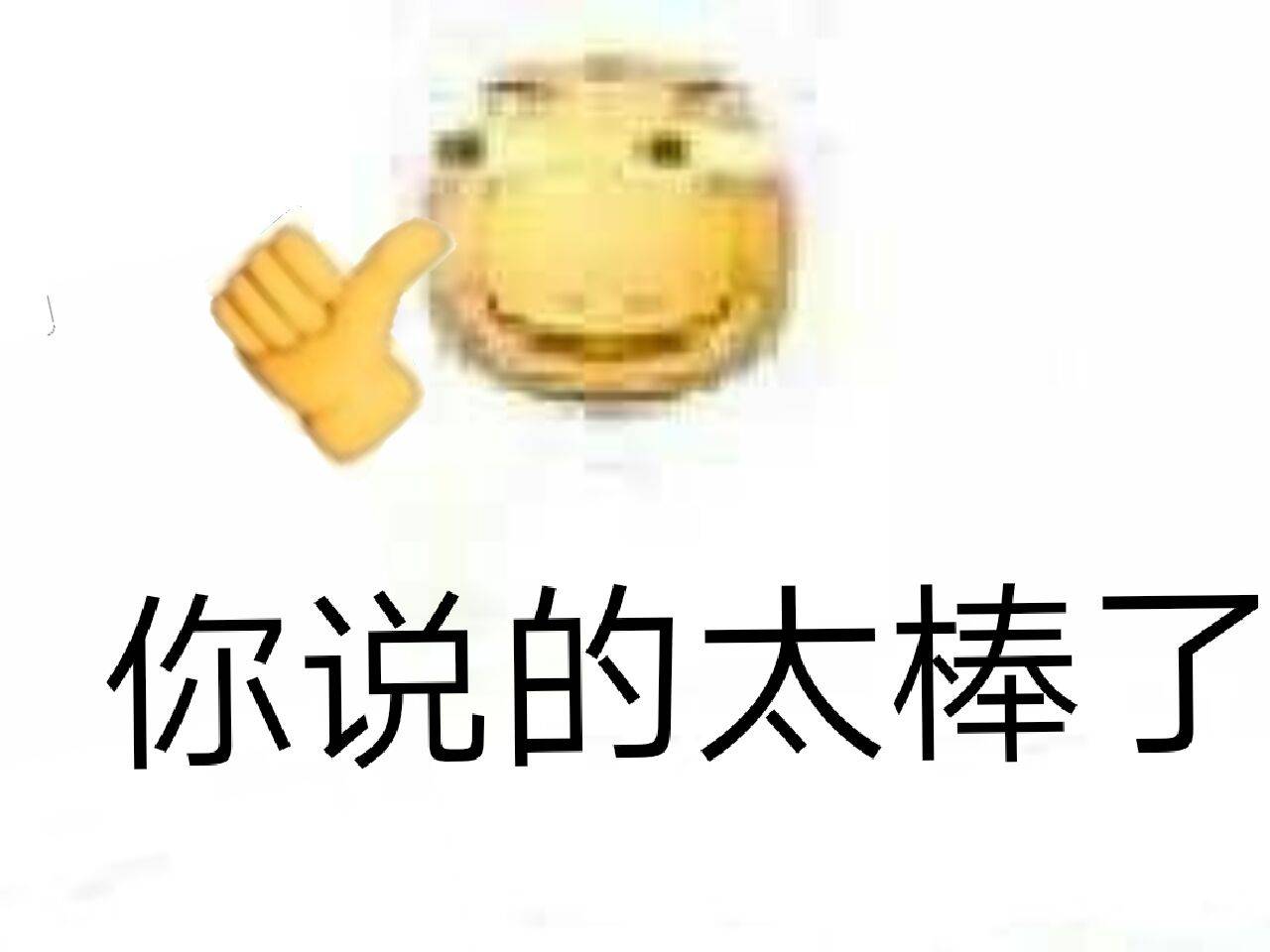 你说的太棒了