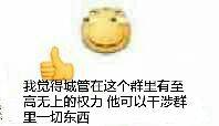 我觉得城管在这个群生有至高无上的权力，他可以干涉群里一切东西