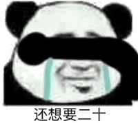 还想要二十