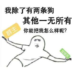 我除了有两条狗，其他一无所有