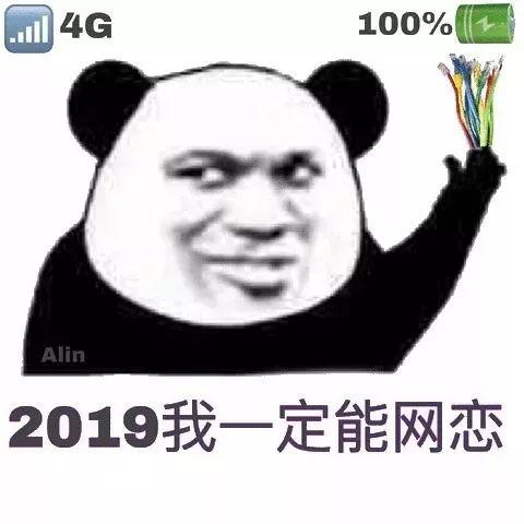 2019我一定能网恋