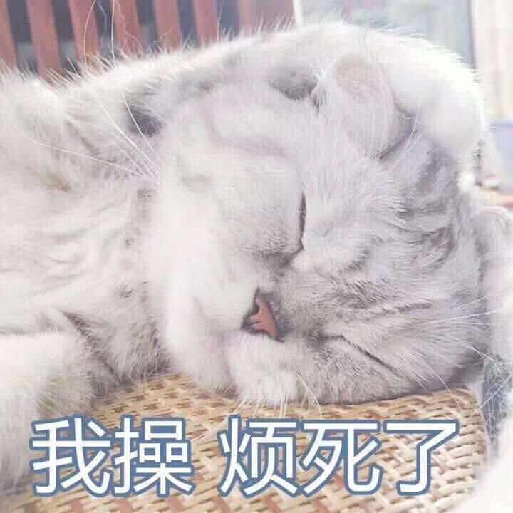 我操烦死了