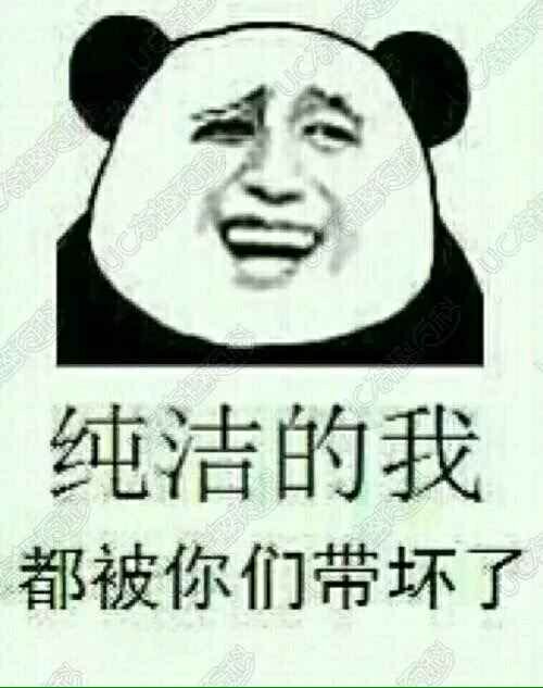 纯洁的我，都被你们带坏了