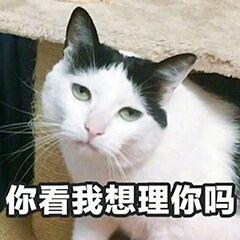 你看我想理你吗