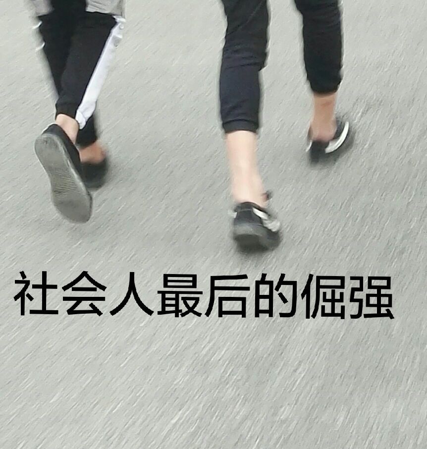 社会人最后的倔强