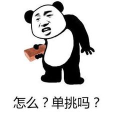 怎么？单挑吗？