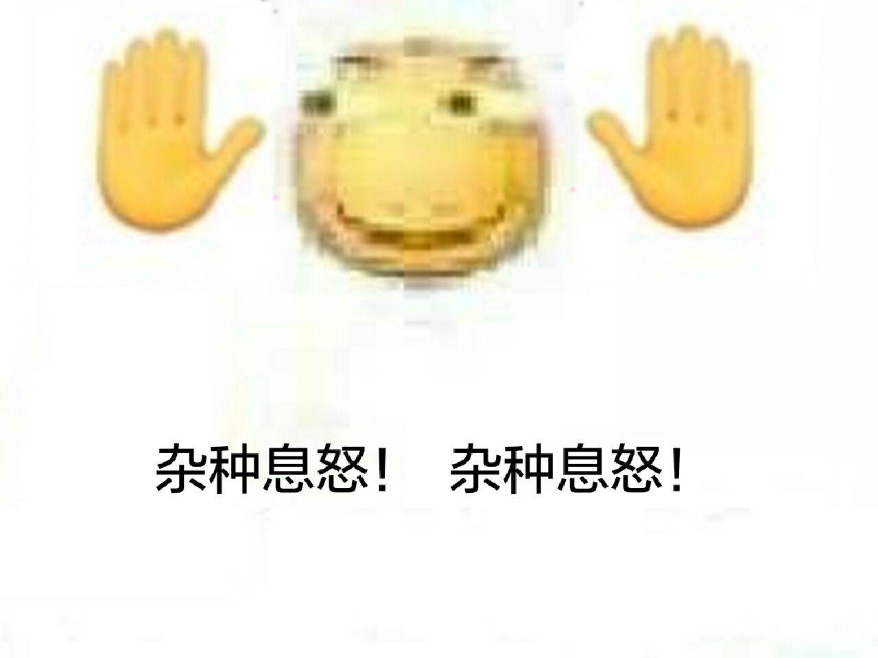 杂种息怒！杂种息怒！