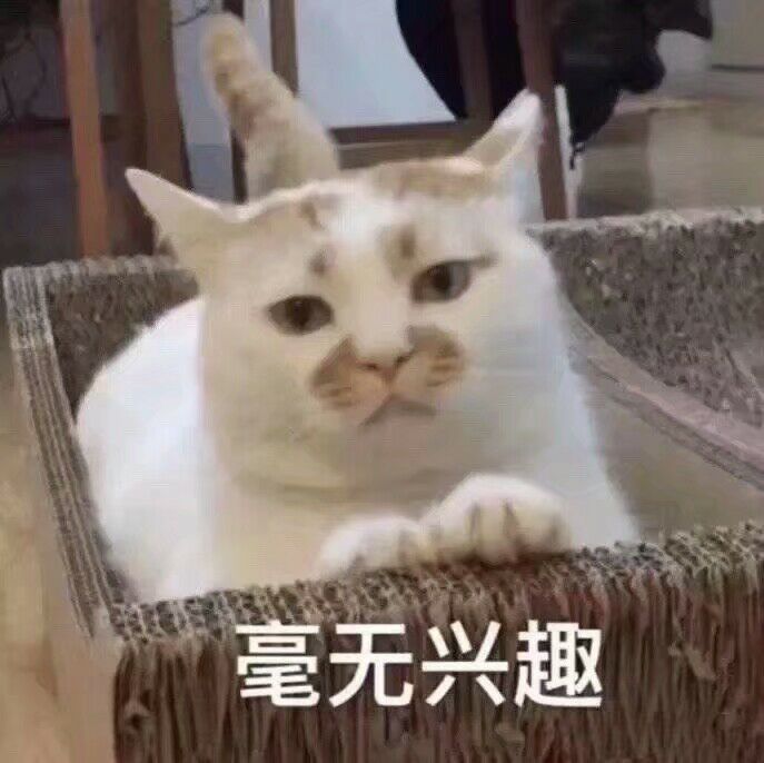 毫无兴趣