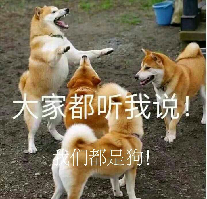 大家都听我说！