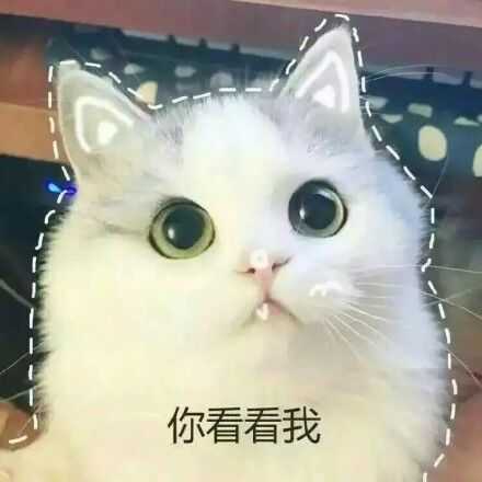 你看看我