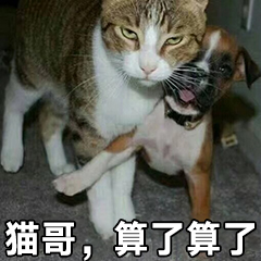 猫哥，算了算了