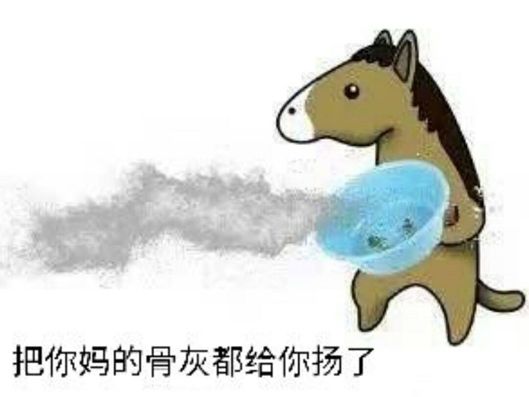 把你妈的骨灰都给你扬了