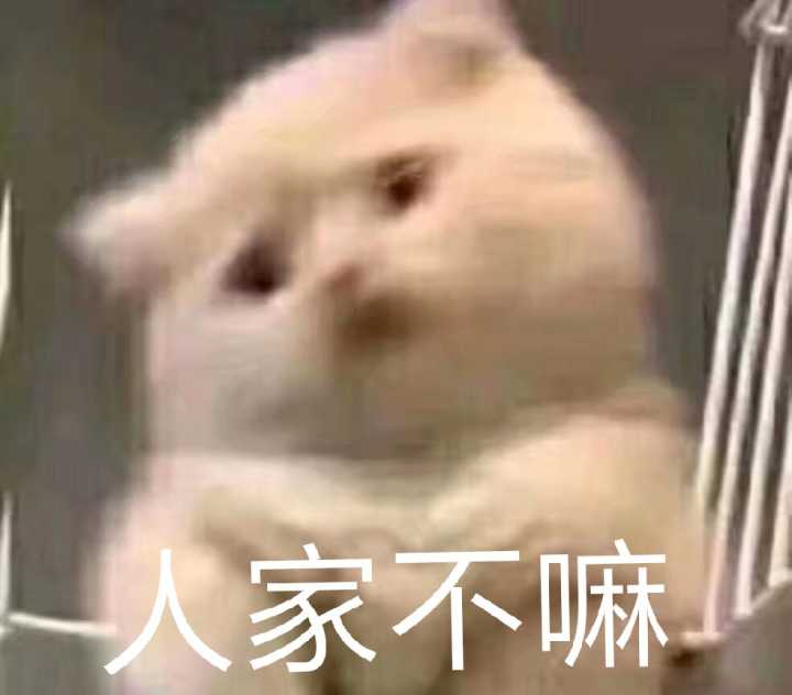 人家不嘛