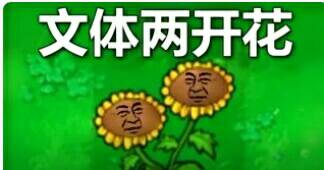 文体两开花