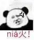 nia火