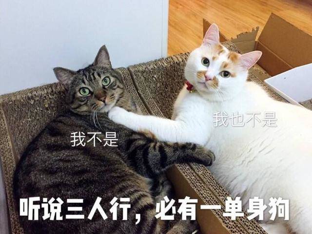 听说三人行，必有一单身狗