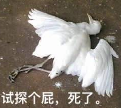 试探个屁，死了。