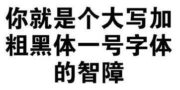 你就是个大写加粗黑体一号字体的智障