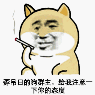 孬吊日的狗群主，给我注意下你的态度