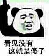 看见没有这就是傻子