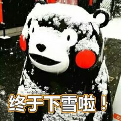 终于下雪啦