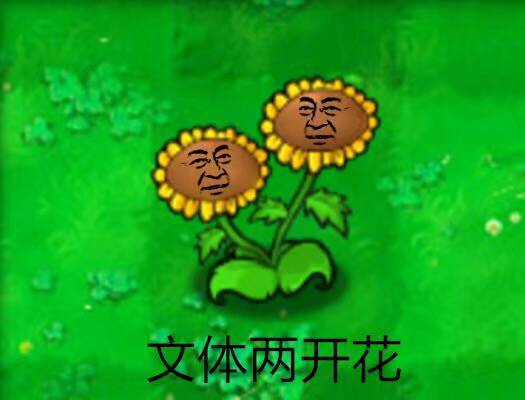 文体两开花