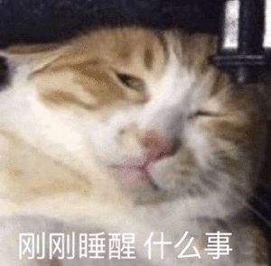 刚刚睡醒什么事