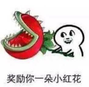 奖励你一朵小红花