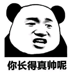 你长得真帅呢
