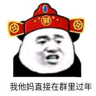 我他妈直接在群里过年