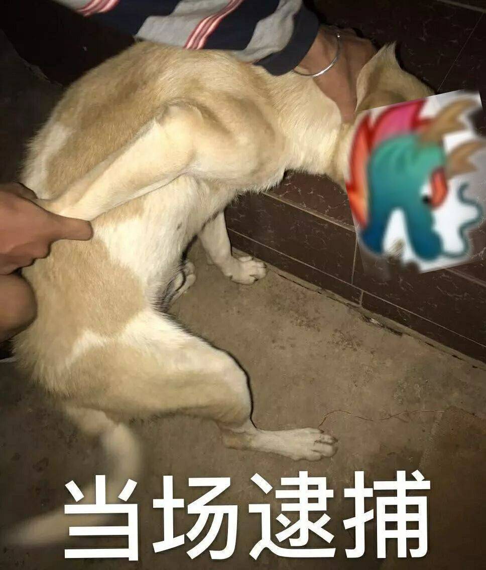 当场逮捕