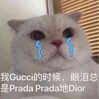 我Gucci的时候，眼泪总是 Prada Prada地Dior